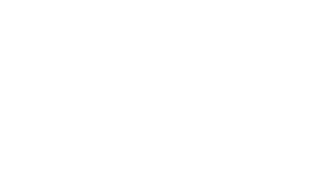 Breyer Instrumentos